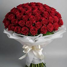 Букет 101 Красная роза Блэк Мэджик в Поселок ВНИИССОК