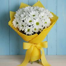 Букет цветов из:  Хризантемы в Поселок ВНИИССОК