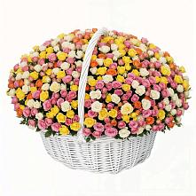 Премиум букет из: Розы в Поселок ВНИИССОК