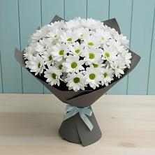 Букет цветов из:  Хризантемы в Поселок ВНИИССОК
