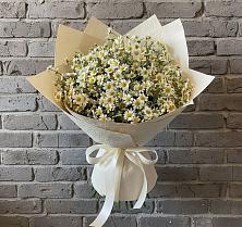 Букет цветов из:  Ромашки #REPLACE_PRED# Поселок ВНИИССОК