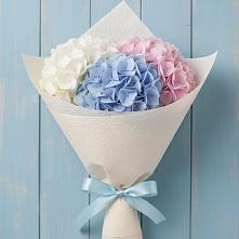 Букет цветов из:  Гортензия в Поселок ВНИИССОК