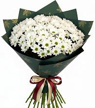 Букет цветов из:  Хризантемы #REPLACE_PRED# Поселок ВНИИССОК