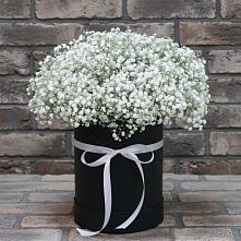 Цветочная композиция из Гипсофила в шляпной коробке в Поселок ВНИИССОК