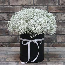 Цветочная композиция из Гипсофила в шляпной коробке в Поселок ВНИИССОК