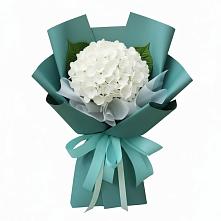 Букет цветов из:  Гортензия #REPLACE_PRED# Поселок ВНИИССОК